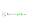 Bayer